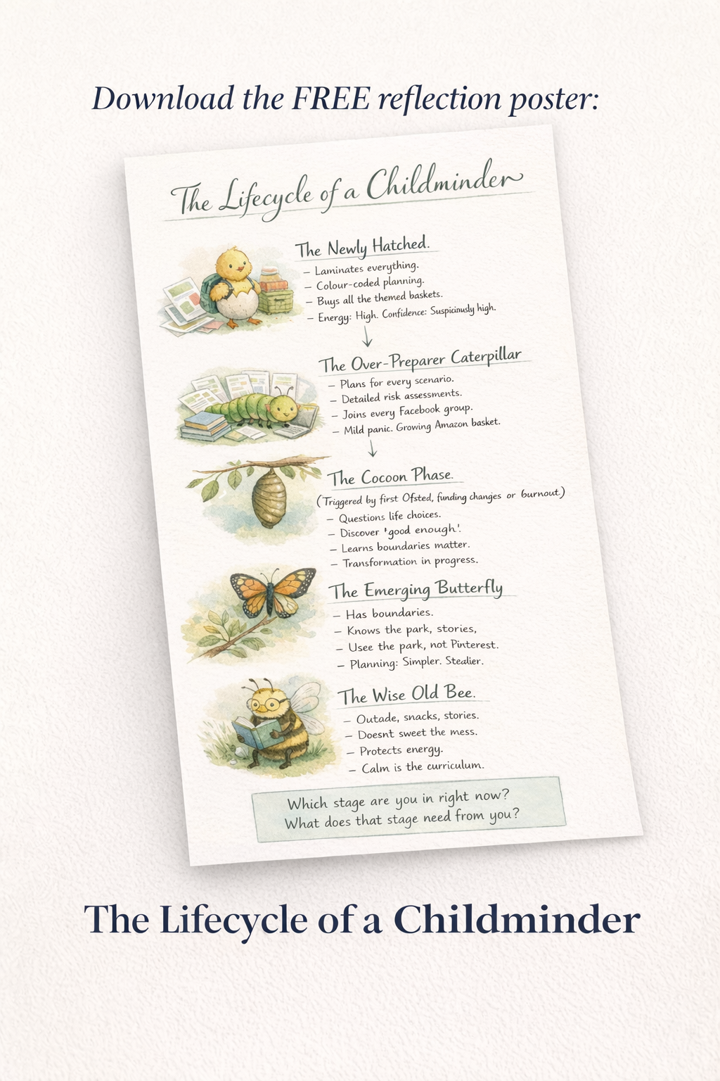 lifecycle poster chick, butterfly, bee