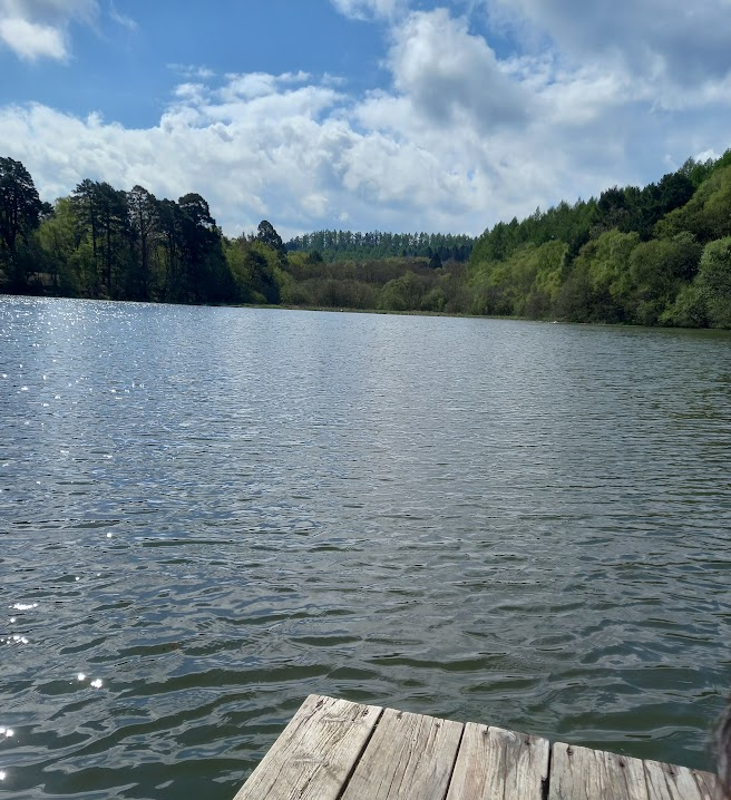 A beautiful day scene of yearsley lake. Calming walks for local childminders