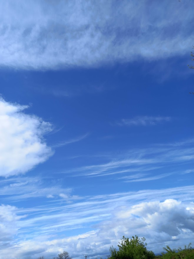 brilliant blue sky Childminder wellness