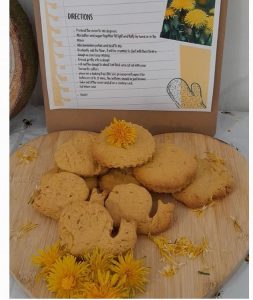 Dandelion biscuits